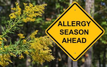 Office Cleaning Keep Allergies At Bay